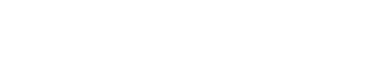 VCARE PLAN MANAGEMENT